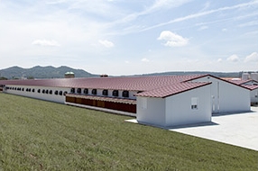Nave avícola