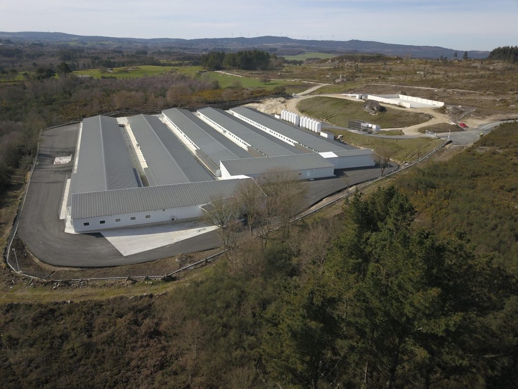 Explotación gallinas reproductoras – Lea (Lugo)