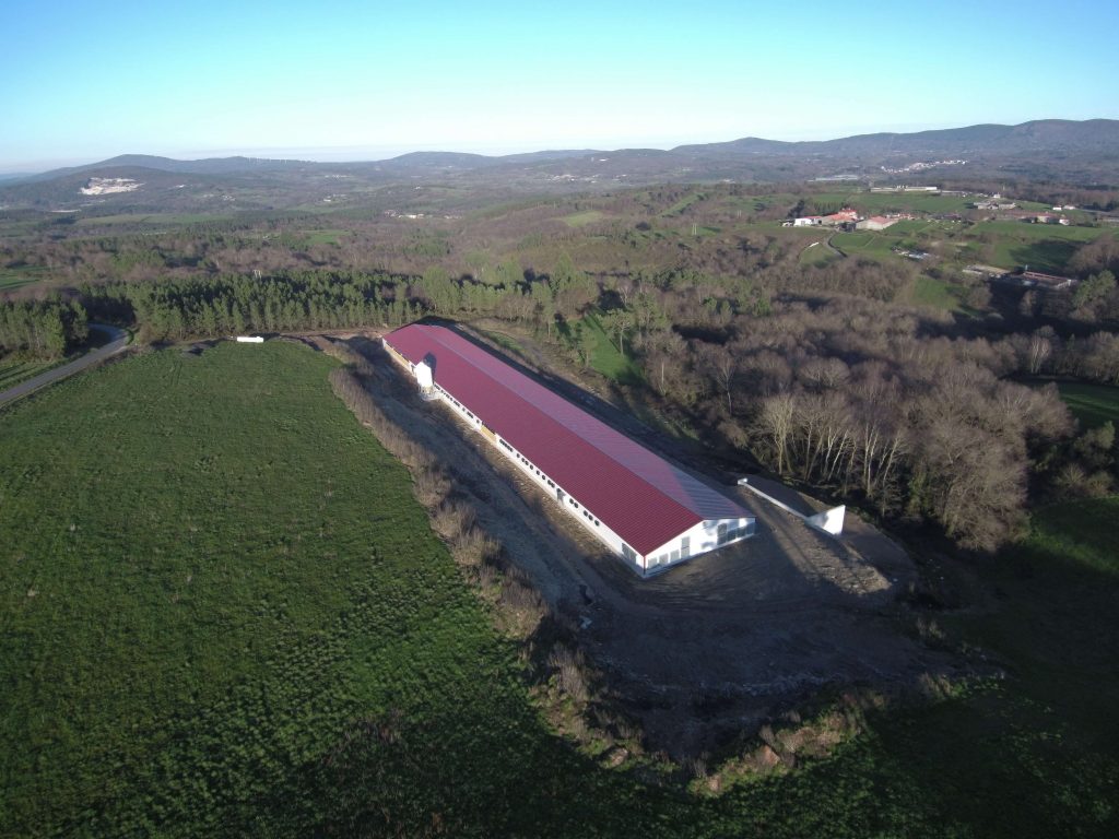 Explotación Pavos – Rodeiro (Pontevedra)