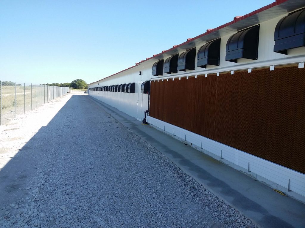 Explotación pollo Broiler – Fresneda de Cuéllar (Segovia)