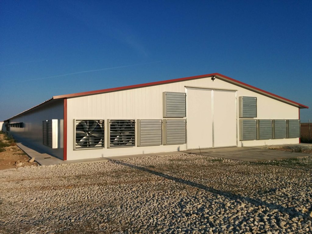 Explotación pollo Broiler – Cogeces del Monte (Valladolid)