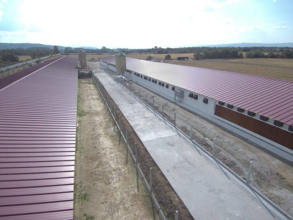 Explotación pollo Broiler – Vilar de Barrio (Ourense)