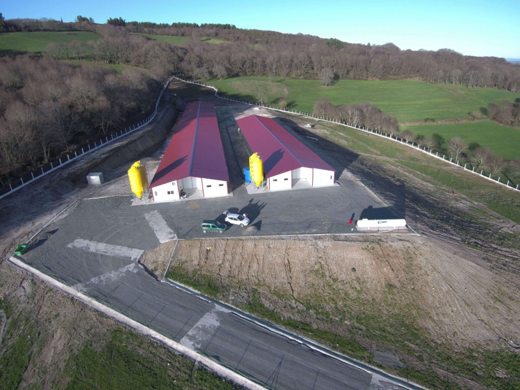 Explotación pollo de Corral – Taboada (Lugo)
